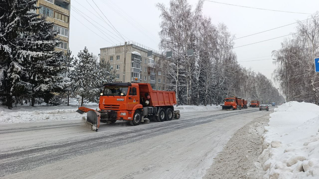 142_972.jpg